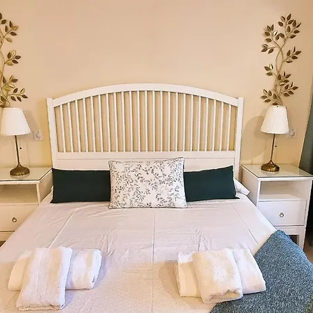 Apartment Spacious Renovated 1-bedroom In Center With Free Parking Marbella